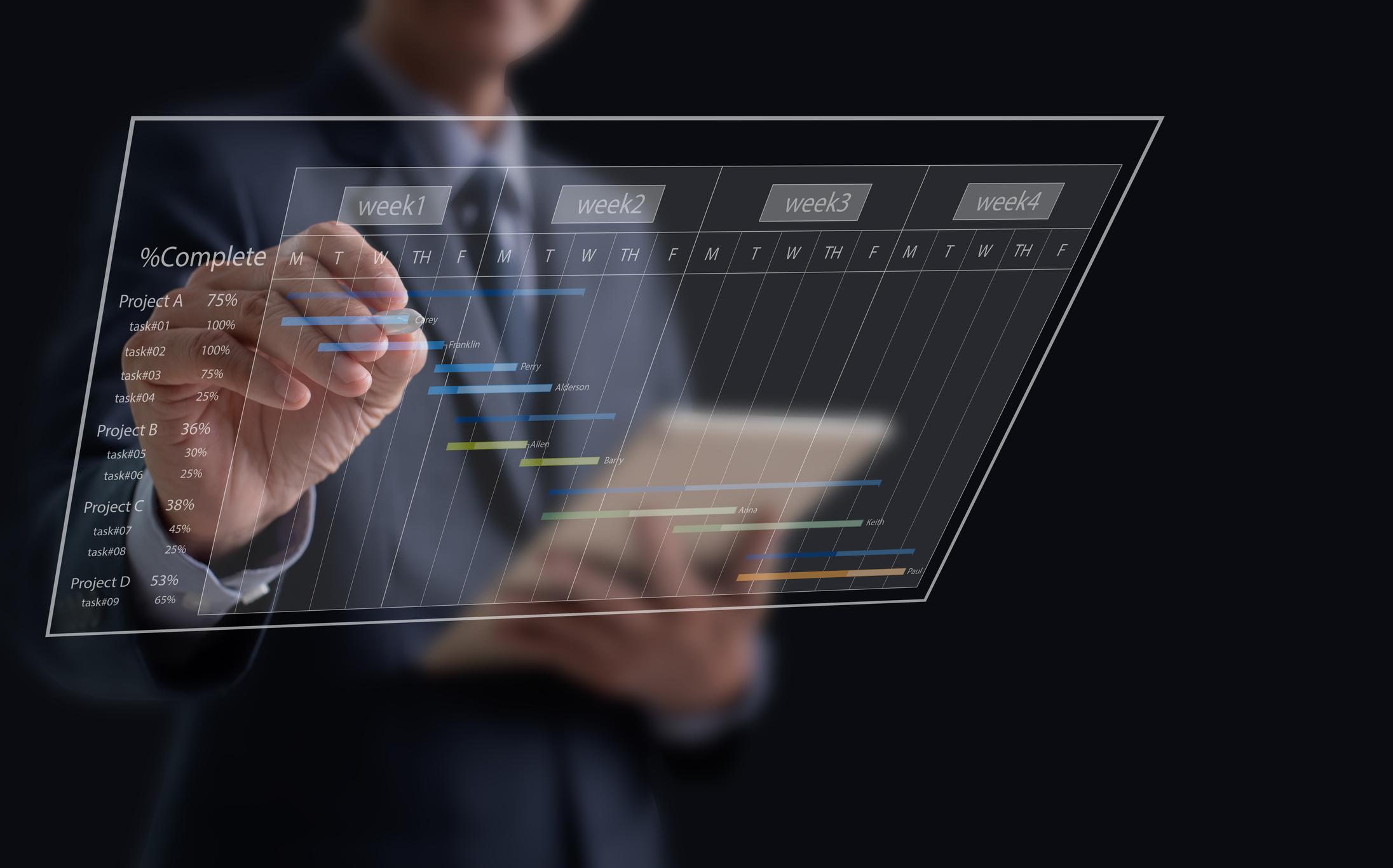 project management