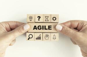 Agile Project Management 